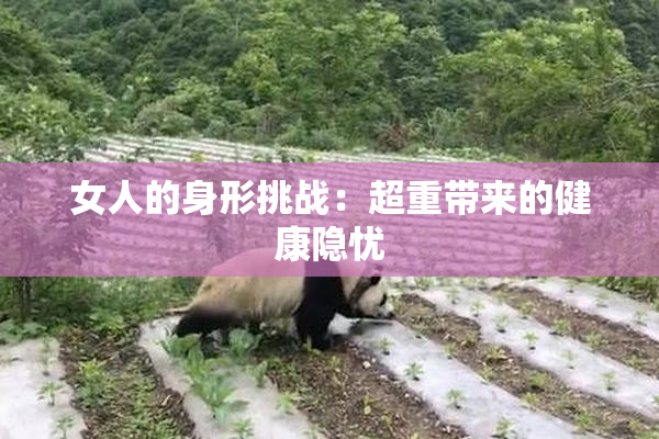 女人的身形挑战：超重带来的健康隐忧