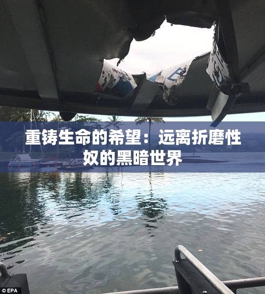 重铸生命的希望：远离折磨性奴的黑暗世界
