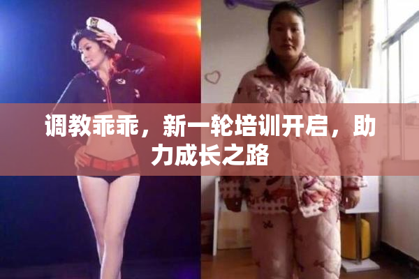 调教乖乖，新一轮培训开启，助力成长之路