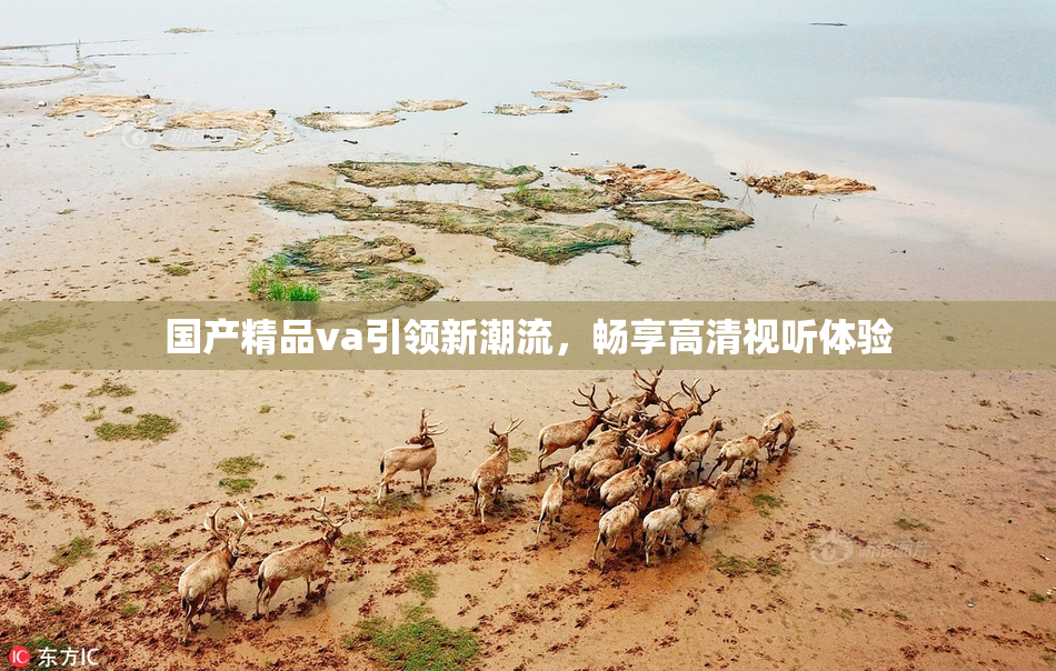 国产精品va引领新潮流，畅享高清视听体验
