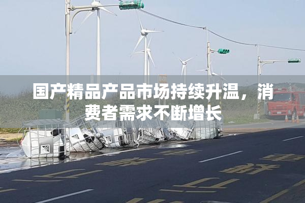 国产精品产品市场持续升温，消费者需求不断增长