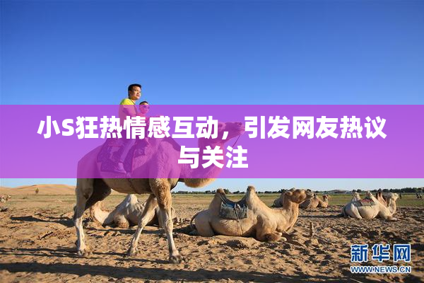 小S狂热情感互动，引发网友热议与关注