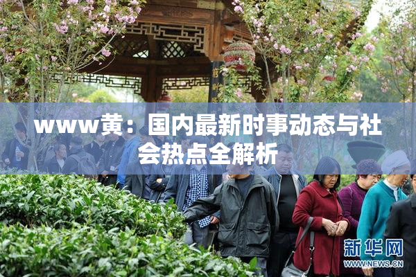 www黄：国内最新时事动态与社会热点全解析