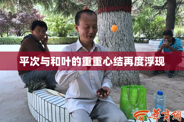 平次与和叶的重重心结再度浮现