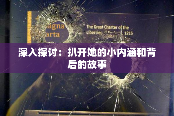 深入探讨：扒开她的小内涵和背后的故事