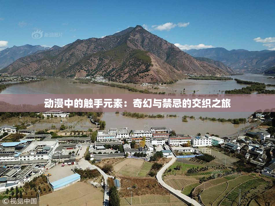 动漫中的触手元素：奇幻与禁忌的交织之旅