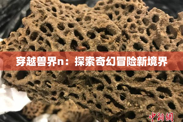 穿越兽界n：探索奇幻冒险新境界