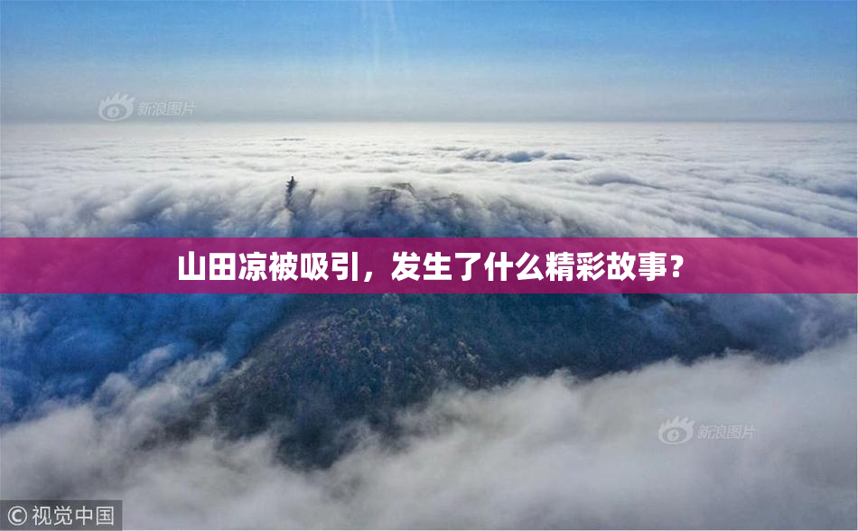 山田凉被吸引，发生了什么精彩故事？