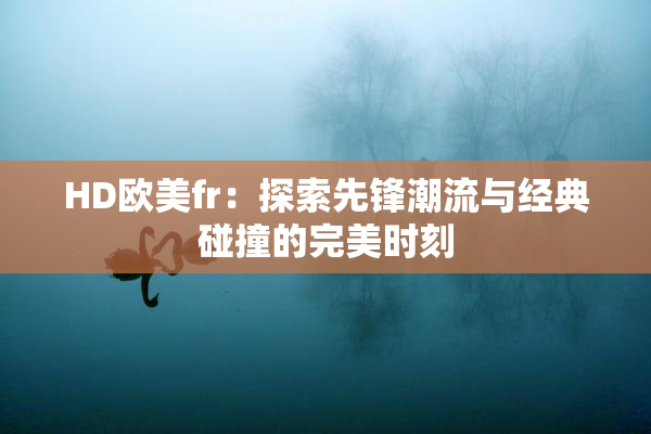 HD欧美fr：探索先锋潮流与经典碰撞的完美时刻