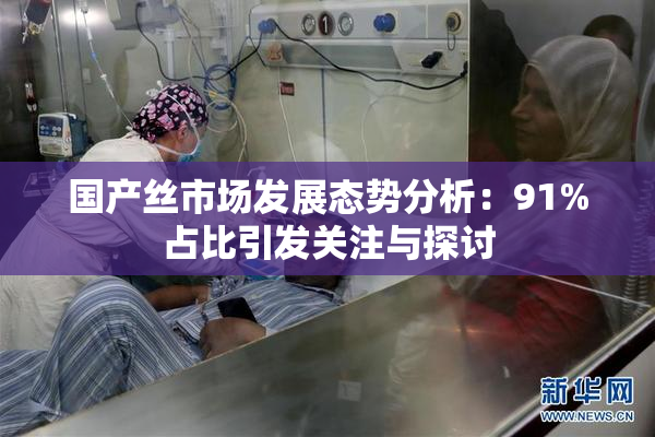 国产丝市场发展态势分析：91%占比引发关注与探讨