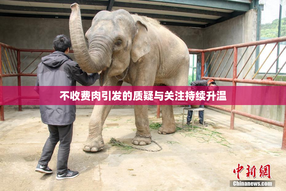 不收费肉引发的质疑与关注持续升温