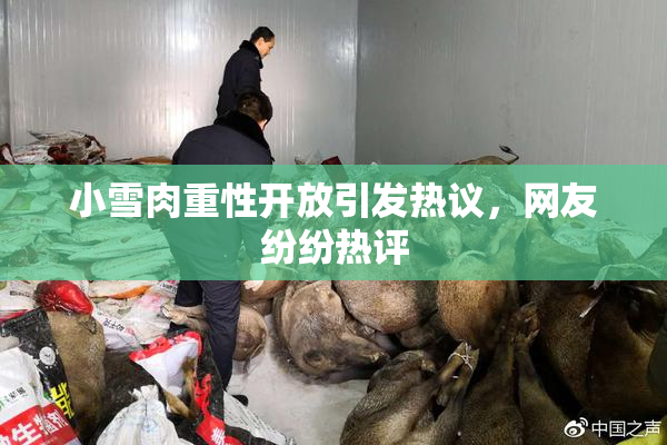 小雪肉重性开放引发热议，网友纷纷热评