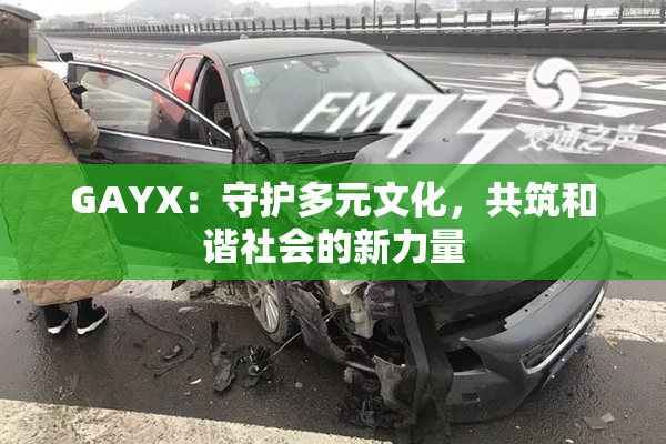 GAYX：守护多元文化，共筑和谐社会的新力量