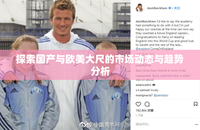 探索国产与欧美大尺的市场动态与趋势分析