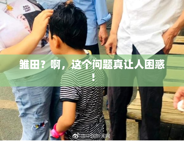 雏田？啊，这个问题真让人困惑！