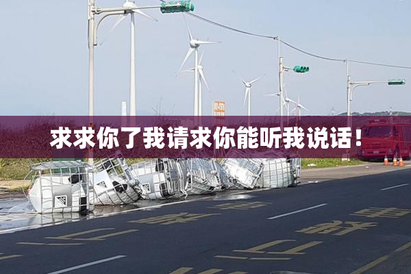 求求你了我请求你能听我说话！