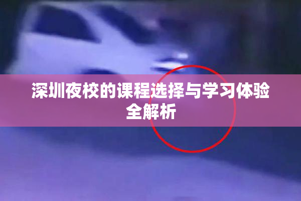 深圳夜校的课程选择与学习体验全解析