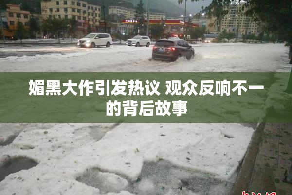 媚黑大作引发热议 观众反响不一的背后故事
