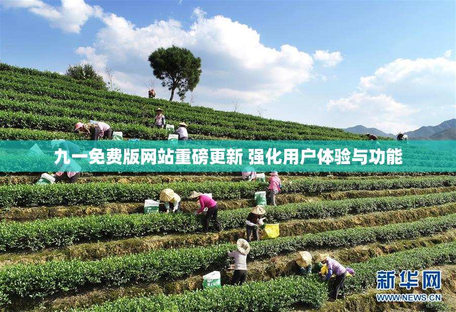 九一免费版网站重磅更新 强化用户体验与功能