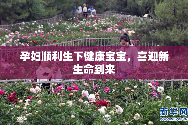 孕妇顺利生下健康宝宝，喜迎新生命到来