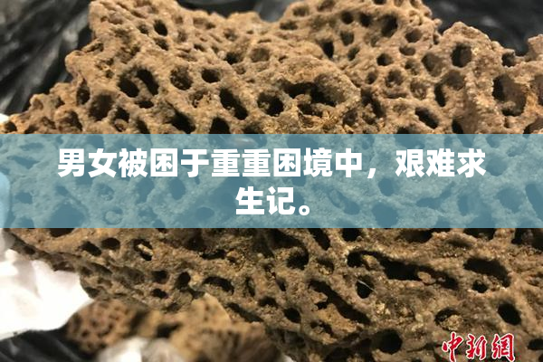 男女被困于重重困境中，艰难求生记。