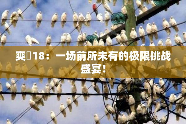 爽擼18：一场前所未有的极限挑战盛宴！