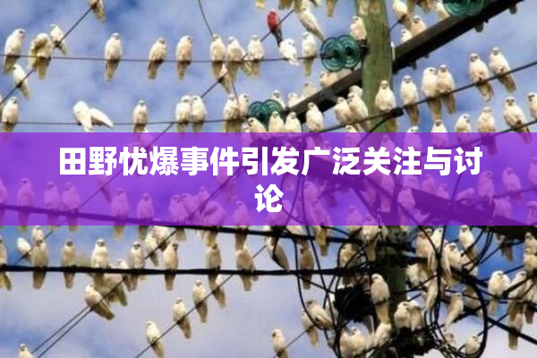 田野忧爆事件引发广泛关注与讨论