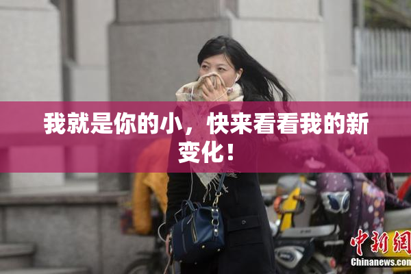 我就是你的小，快来看看我的新变化！