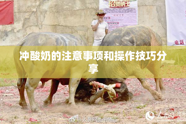冲酸奶的注意事项和操作技巧分享