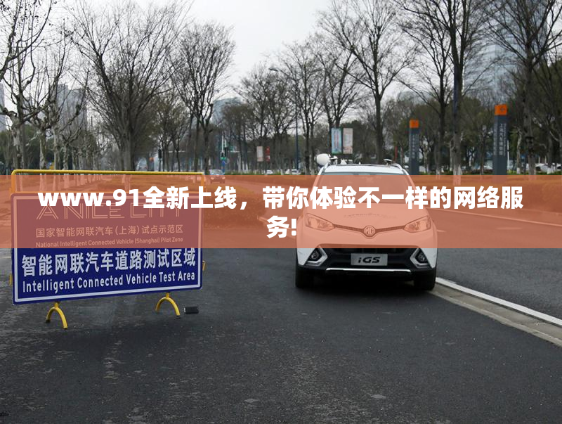 www.91全新上线，带你体验不一样的网络服务!