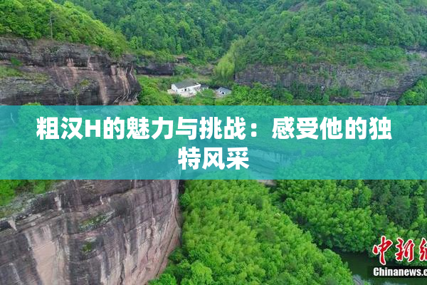 粗汉H的魅力与挑战：感受他的独特风采