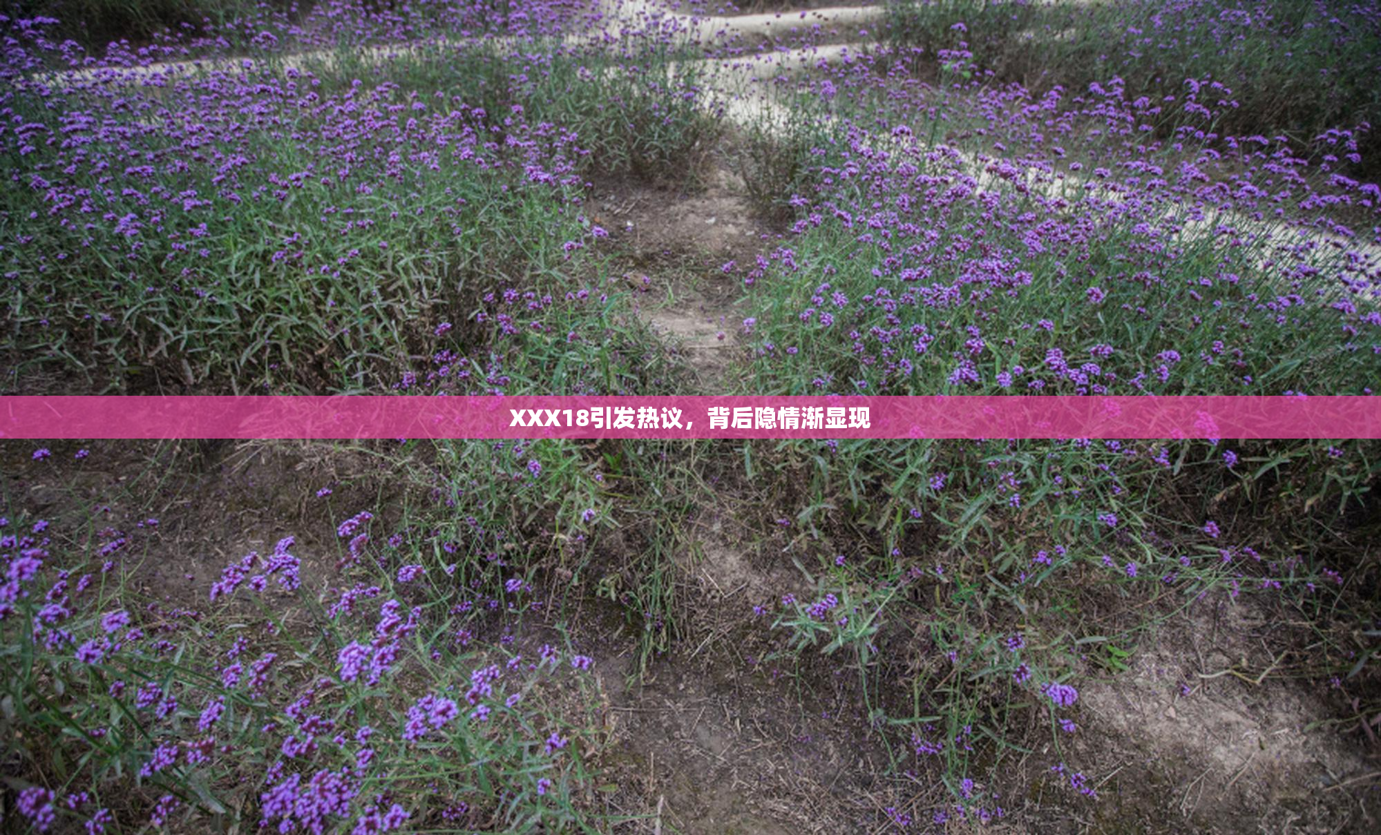 XXX18引发热议，背后隐情渐显现