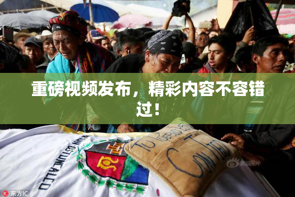 重磅视频发布，精彩内容不容错过！