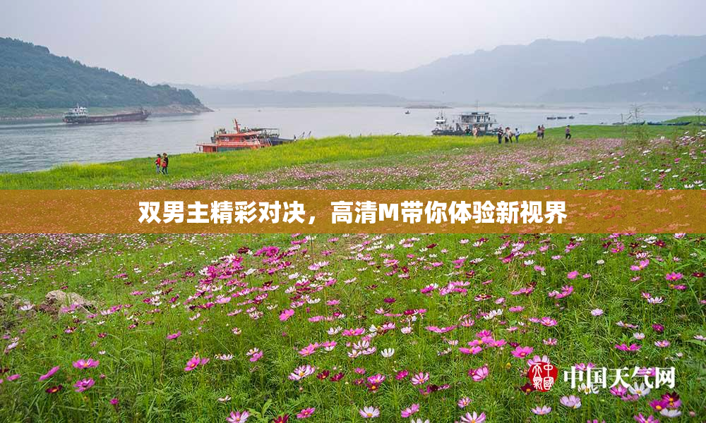 双男主精彩对决，高清M带你体验新视界