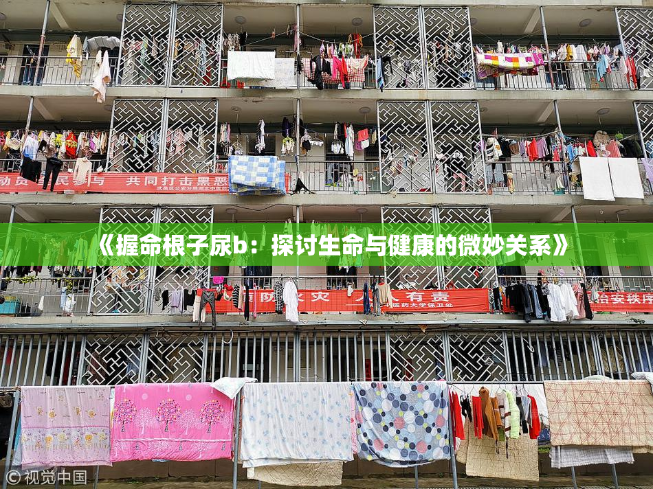 《握命根子尿b：探讨生命与健康的微妙关系》