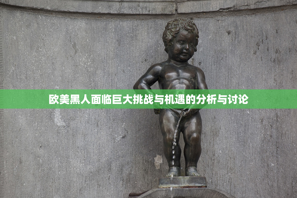 欧美黑人面临巨大挑战与机遇的分析与讨论