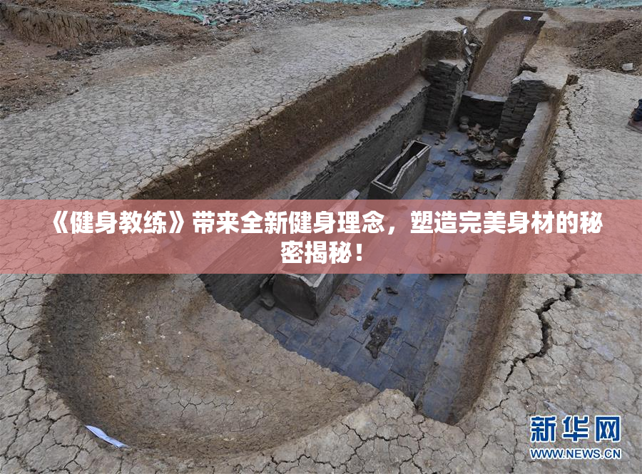 《健身教练》带来全新健身理念，塑造完美身材的秘密揭秘！