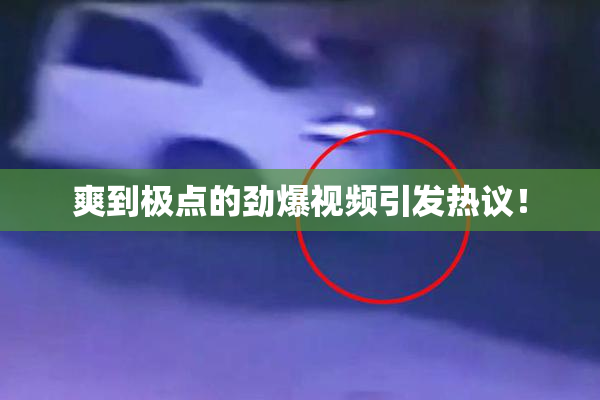 爽到极点的劲爆视频引发热议！