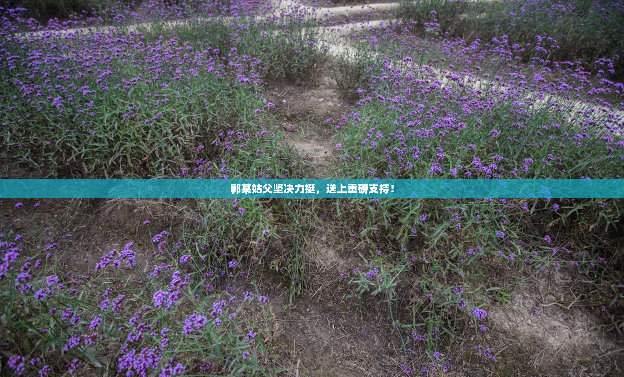 郭某姑父坚决力挺，送上重磅支持！