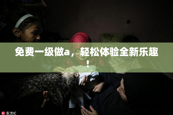 免费一级做a，轻松体验全新乐趣！