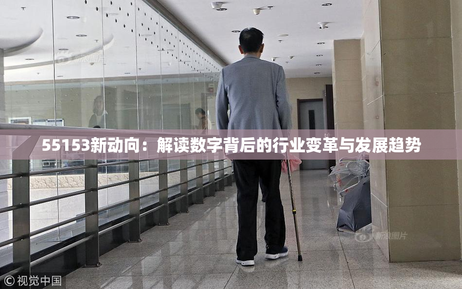 55153新动向：解读数字背后的行业变革与发展趋势