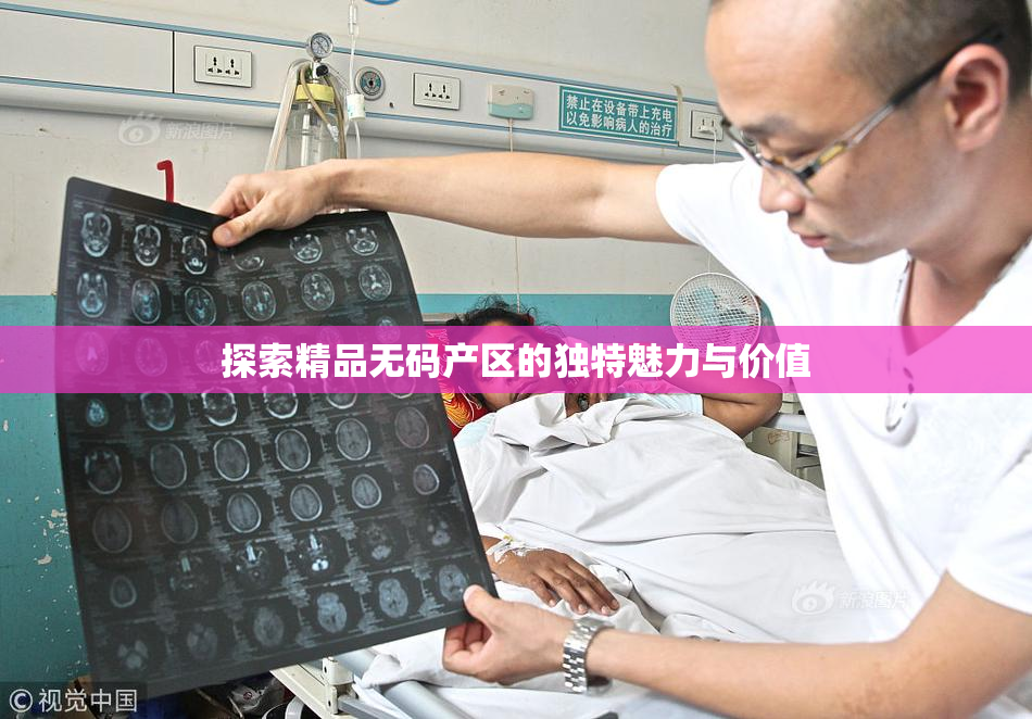 探索精品无码产区的独特魅力与价值