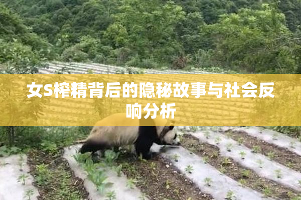 女S榨精背后的隐秘故事与社会反响分析