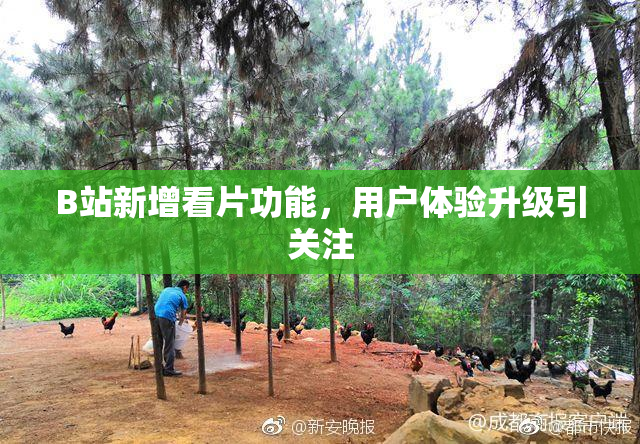 B站新增看片功能，用户体验升级引关注