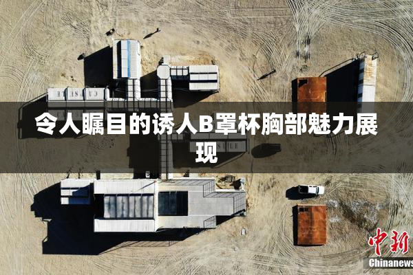 令人瞩目的诱人B罩杯胸部魅力展现