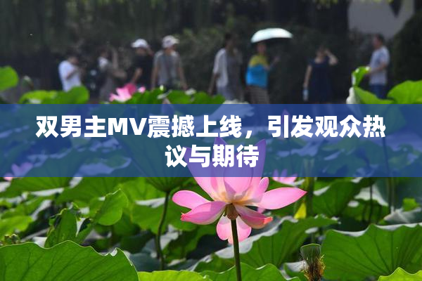 双男主MV震撼上线，引发观众热议与期待