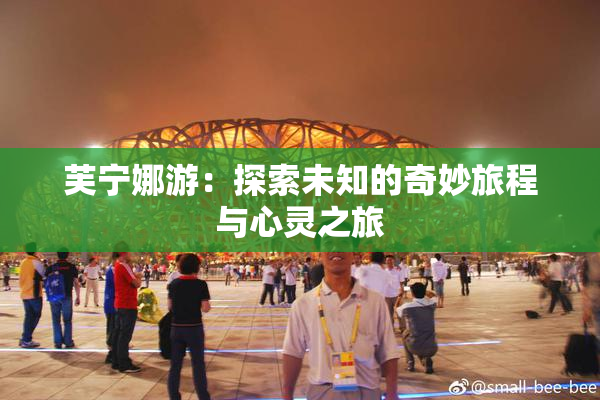 芙宁娜游：探索未知的奇妙旅程与心灵之旅