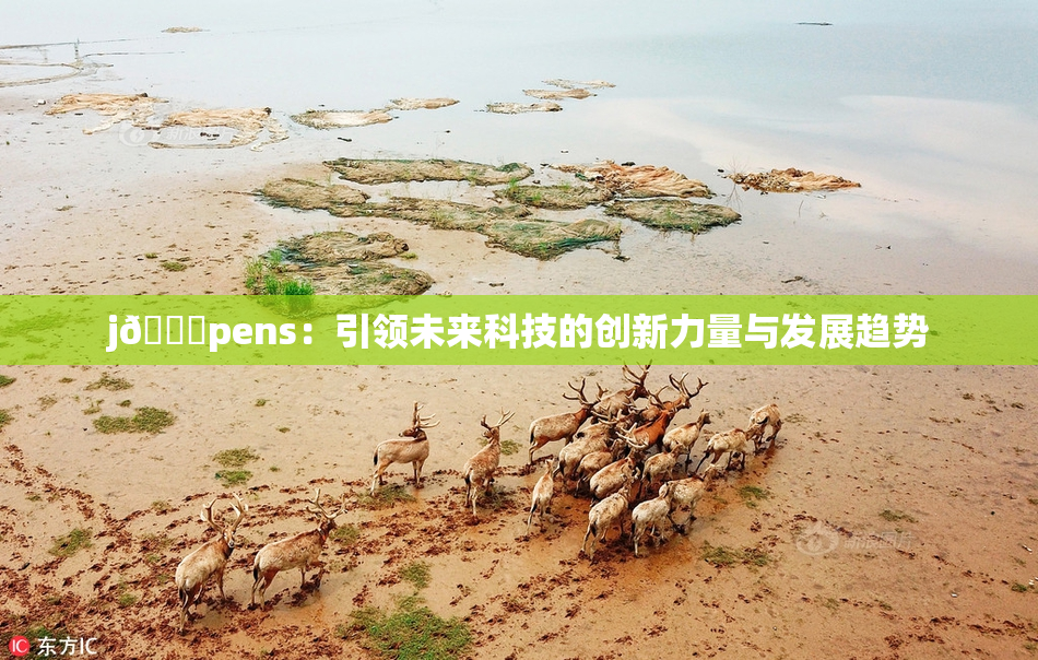 j🈚pens：引领未来科技的创新力量与发展趋势