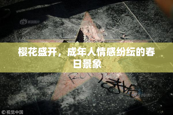 樱花盛开，成年人情感纷纭的春日景象