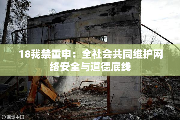18我禁重申：全社会共同维护网络安全与道德底线